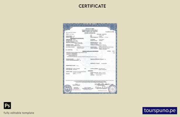 Plantilla de certificado de defunción del estado de Iowa de EE. UU. lista para i